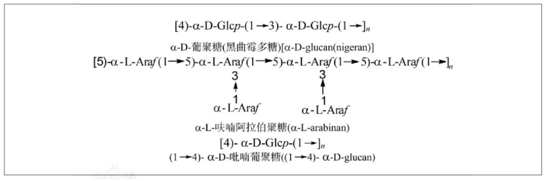 部分多糖的命名 部分多糖的命名