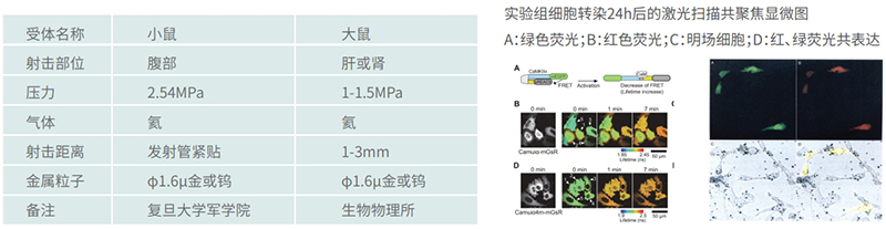 實驗條件參考表